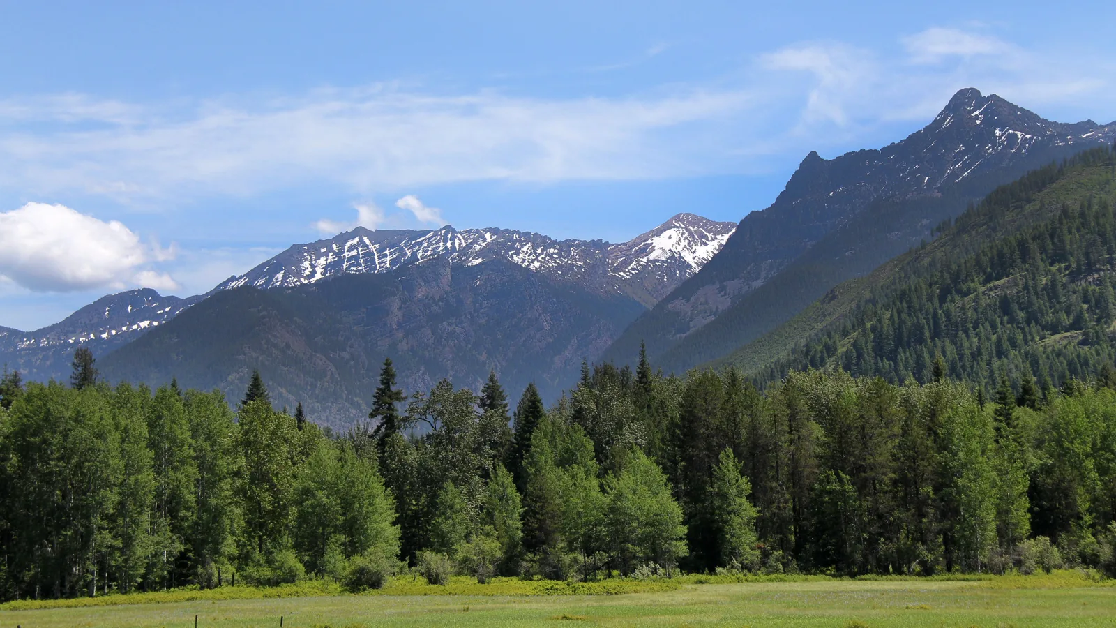 Late snow on the Cabinet Mountains in western Montana, above a valley of conifers and open meadow.