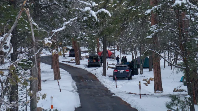Snow over the loop road and campsites at Mather Campground on the Grand Canyon's South Rim, tents pitched between ponderosa pines.