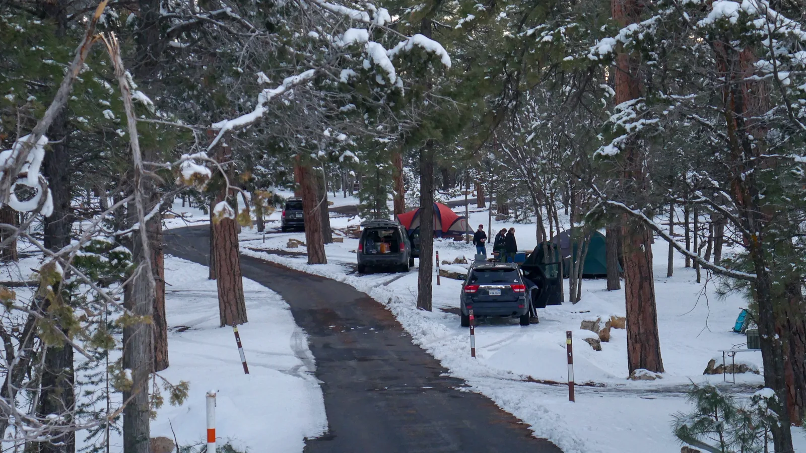 Snow over the loop road and campsites at Mather Campground on the Grand Canyon's South Rim, tents pitched between ponderosa pines.