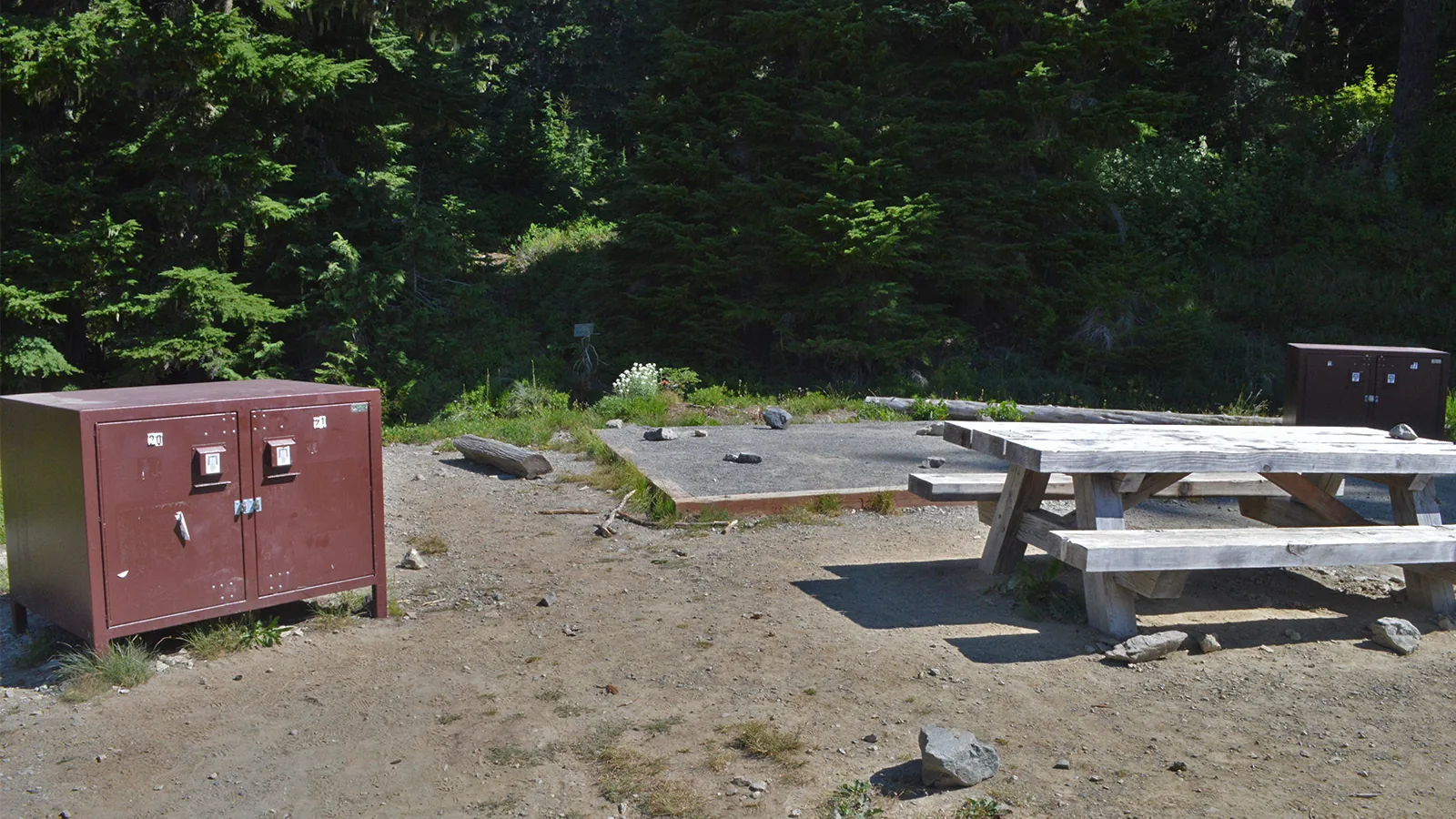 A walk-in tent site at Mowich Lake Campground in Mount Rainier National Park: a levelled gravel pad, a picnic table and two steel bear boxes, with no road in sight.