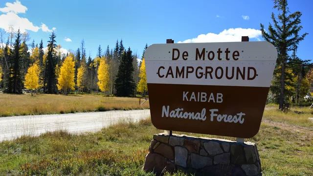 The wooden entrance sign for De Motte Campground in the Kaibab National Forest, aspens turning yellow along the road behind it.